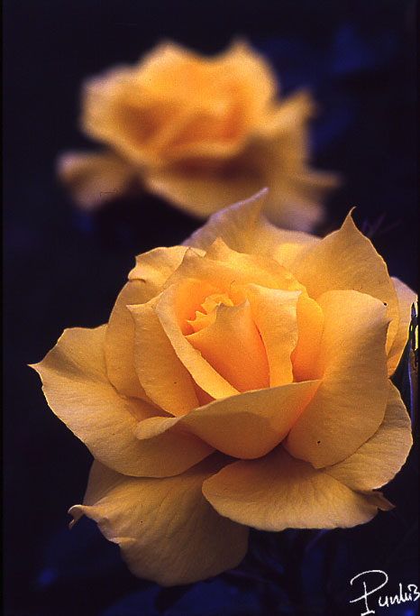 58